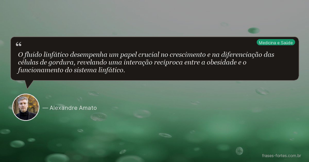Frase de Alexandre Amato