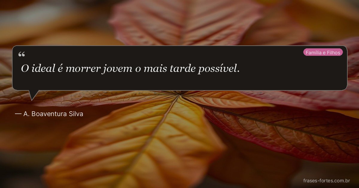 Frase de A. Boaventura Silva