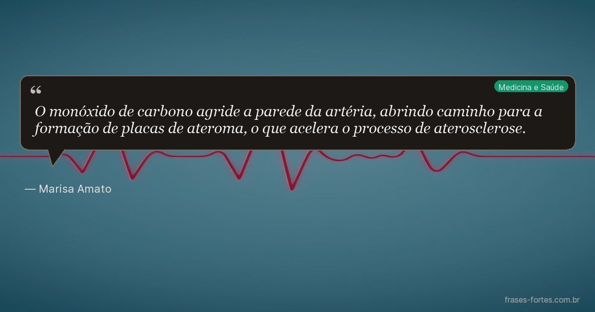 Frase de Marisa Amato