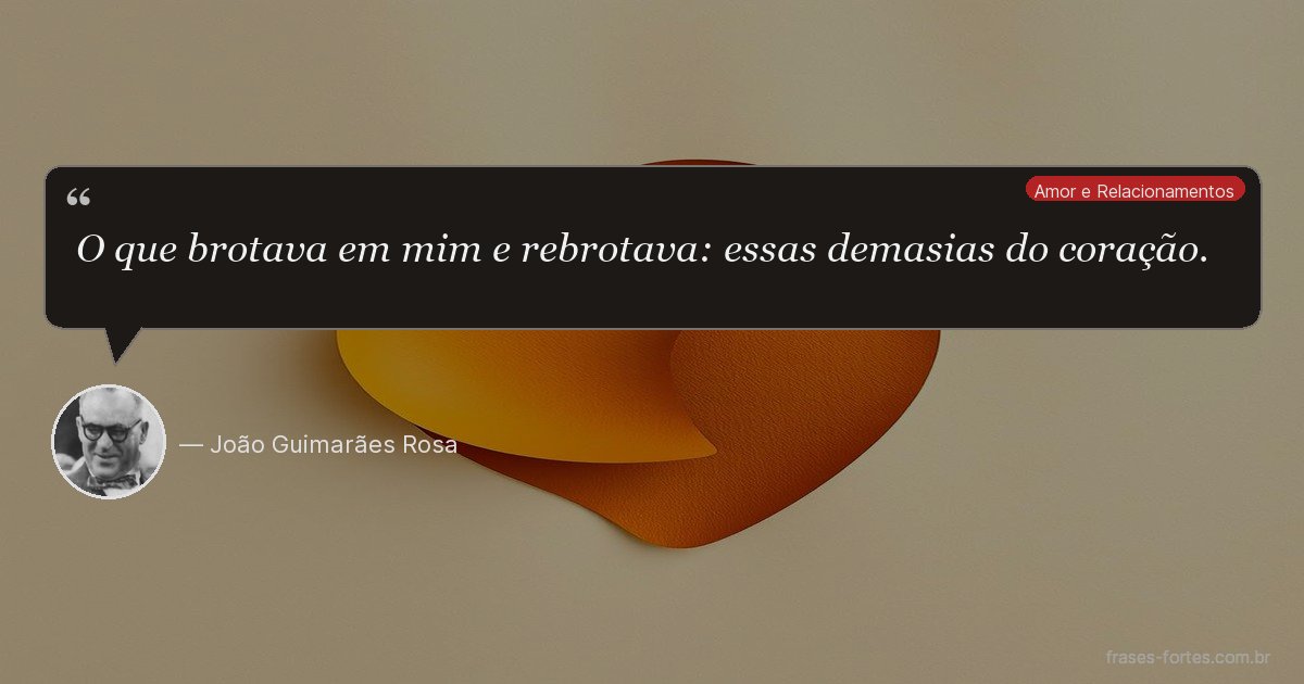 Frase de João Guimarães Rosa