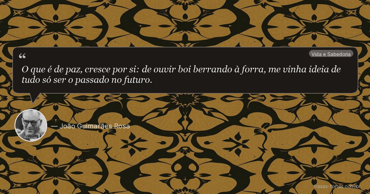 Frase de João Guimarães Rosa