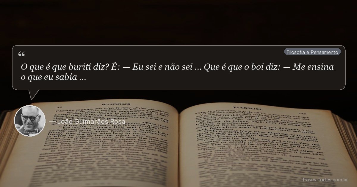 Frase de João Guimarães Rosa