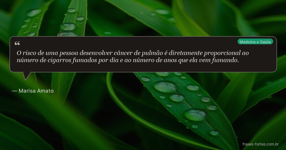 Frase de Marisa Amato