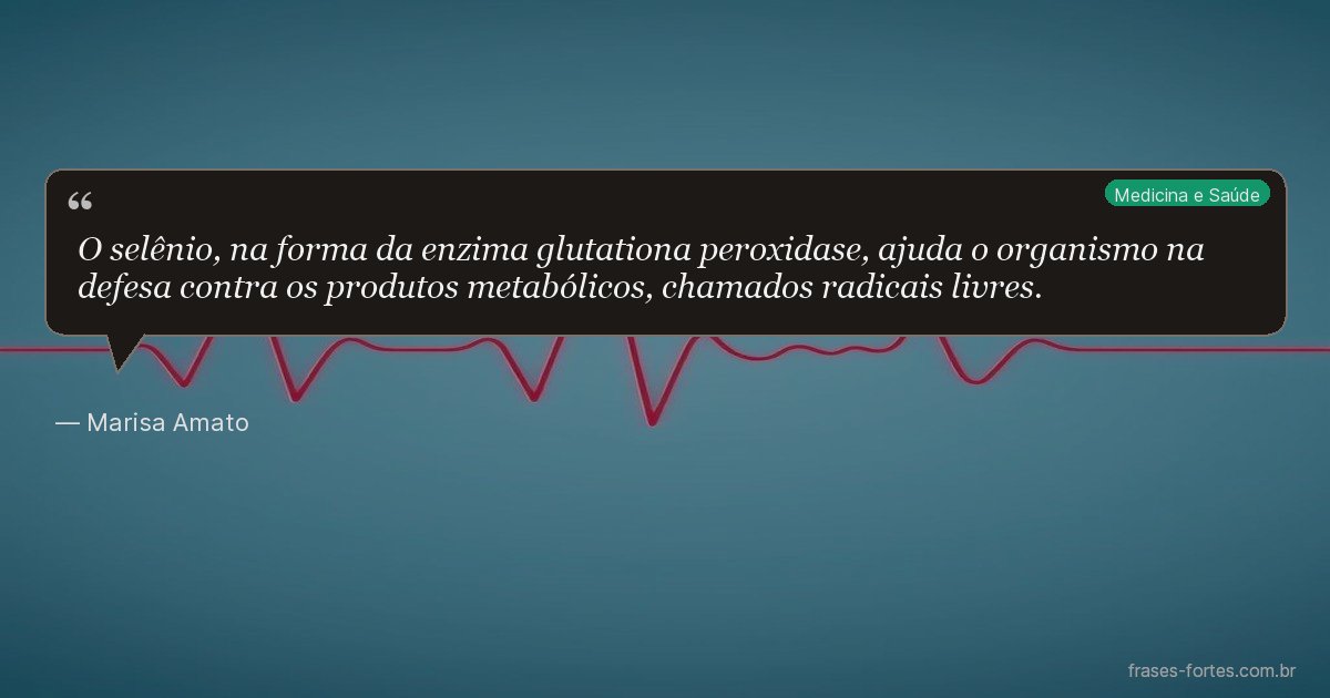 Frase de Marisa Amato