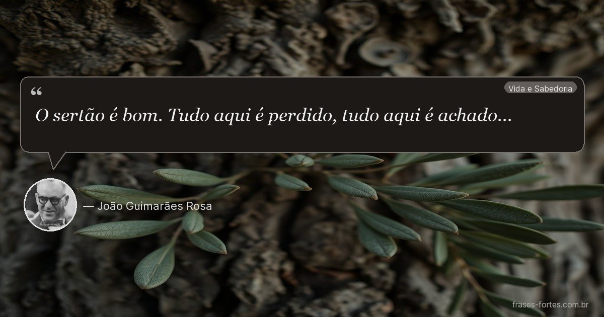 Frase de João Guimarães Rosa