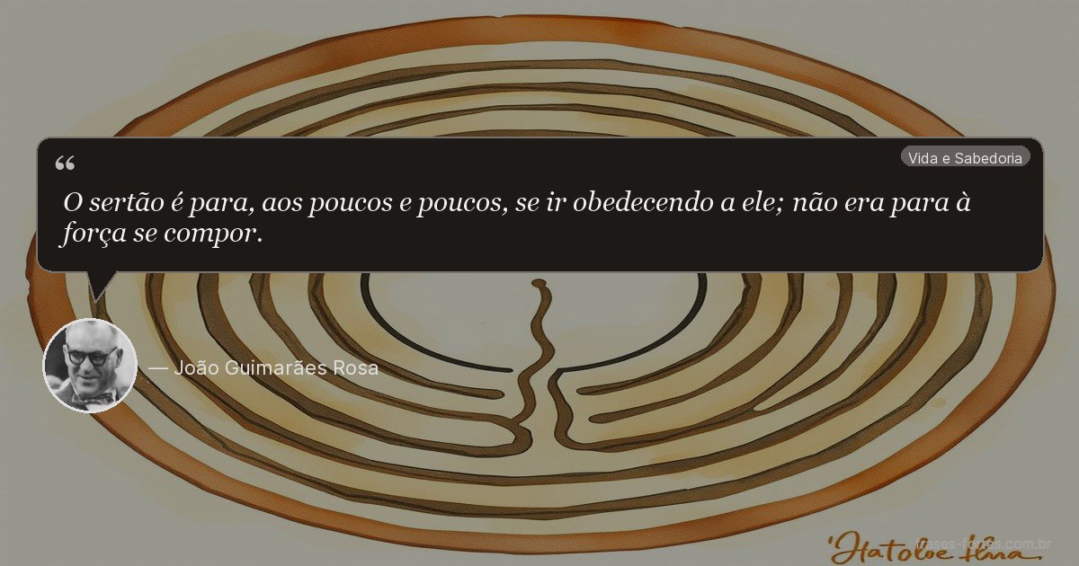 Frase de João Guimarães Rosa