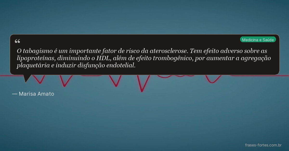 Frase de Marisa Amato