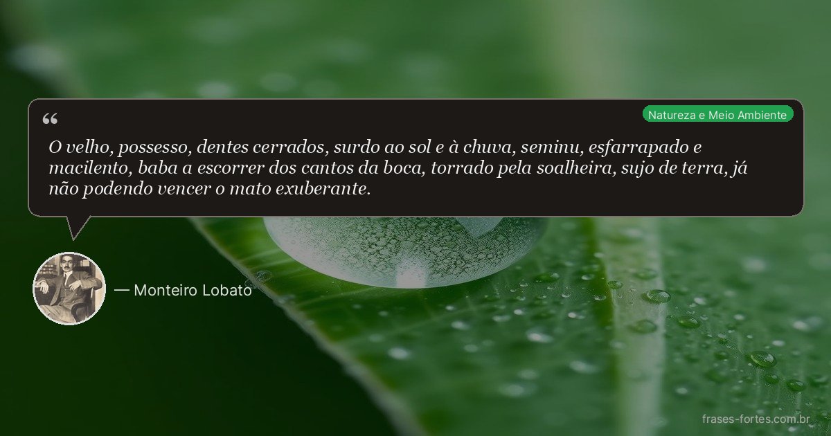 Frase de Monteiro Lobato