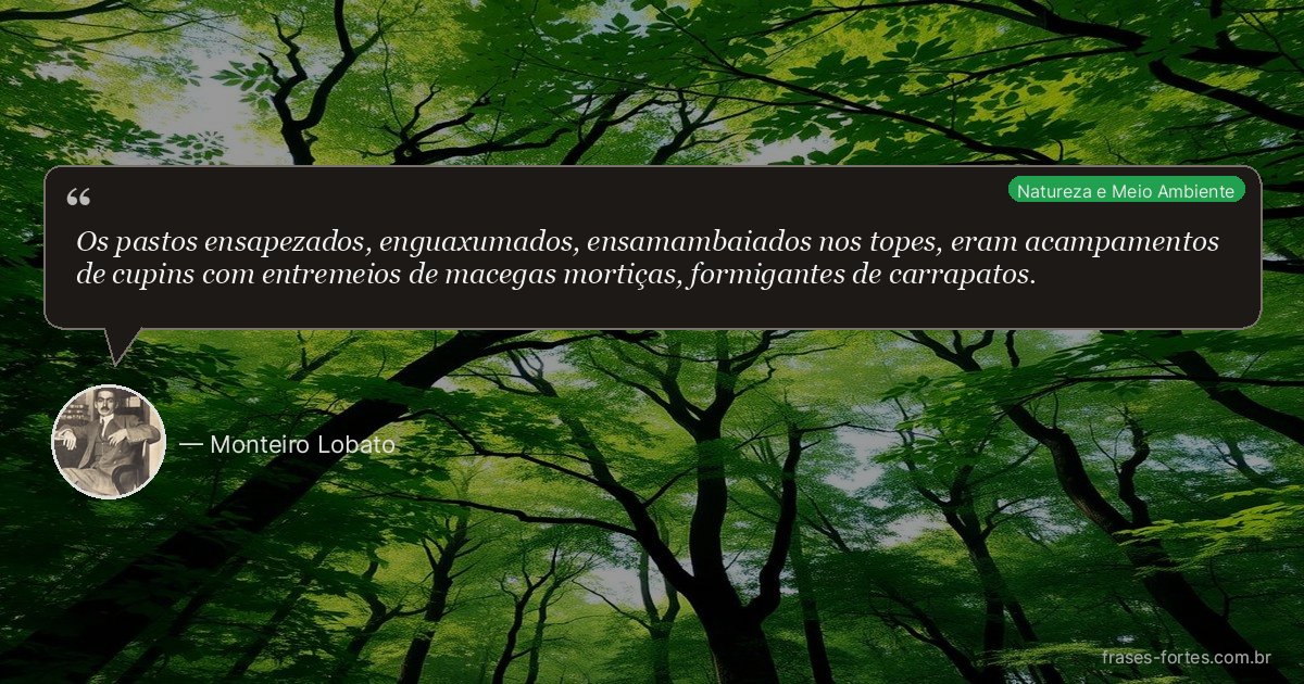 Frase de Monteiro Lobato