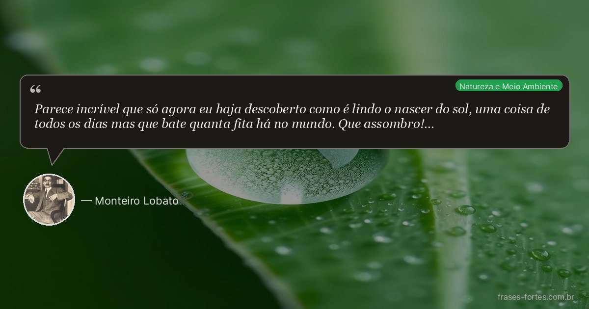 Frase de Monteiro Lobato
