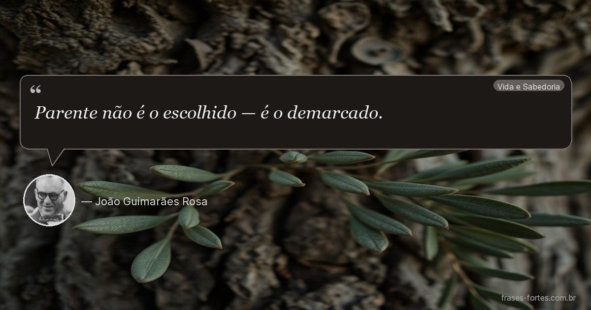 Frase de João Guimarães Rosa