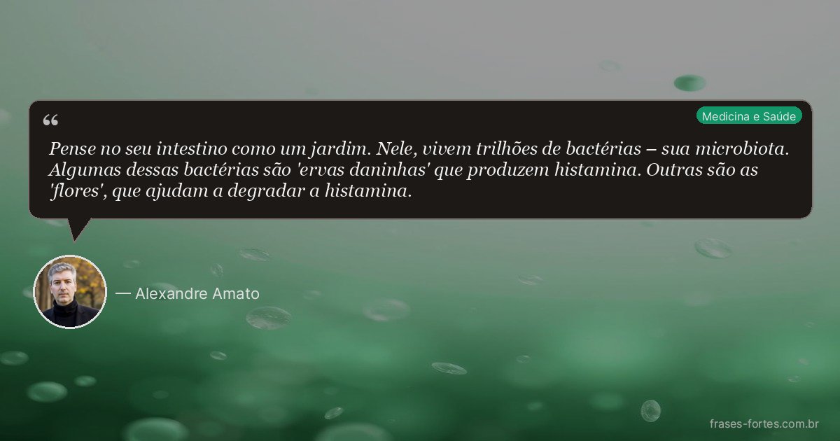 Frase de Alexandre Amato