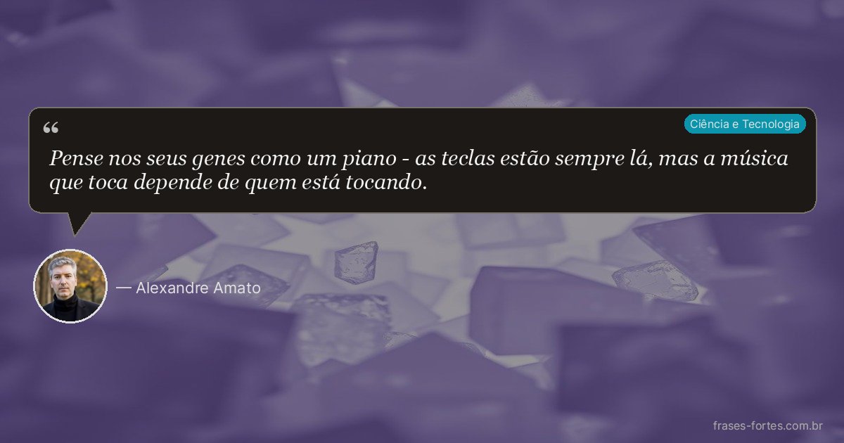 Frase de Alexandre Amato