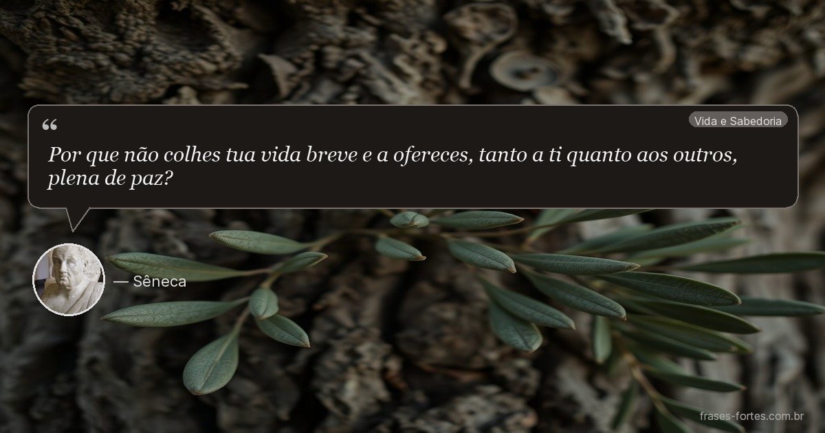 Frase de Sêneca