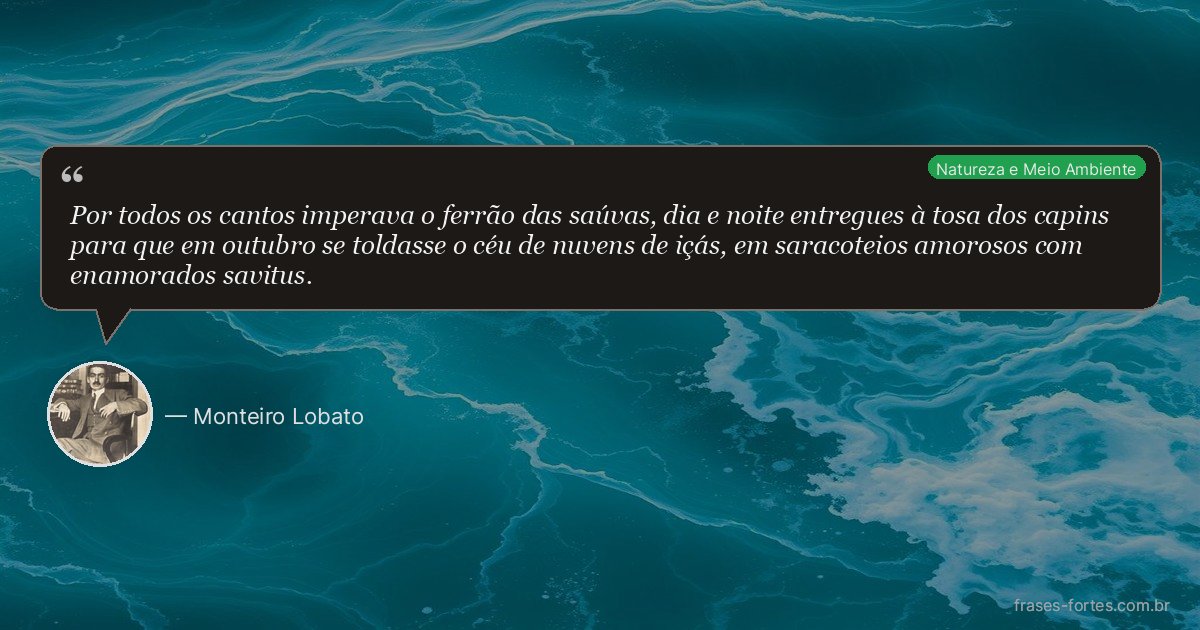 Frase de Monteiro Lobato