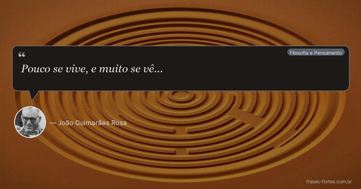 Frase de João Guimarães Rosa