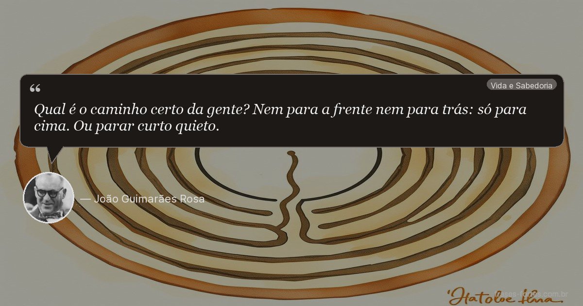 Frase de João Guimarães Rosa