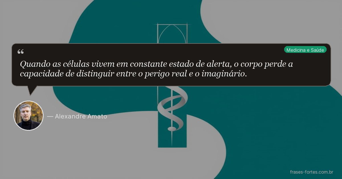 Frase de Alexandre Amato