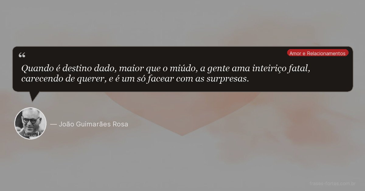 Frase de João Guimarães Rosa