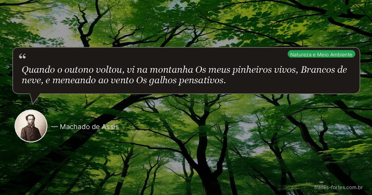 Frase de Machado de Assis