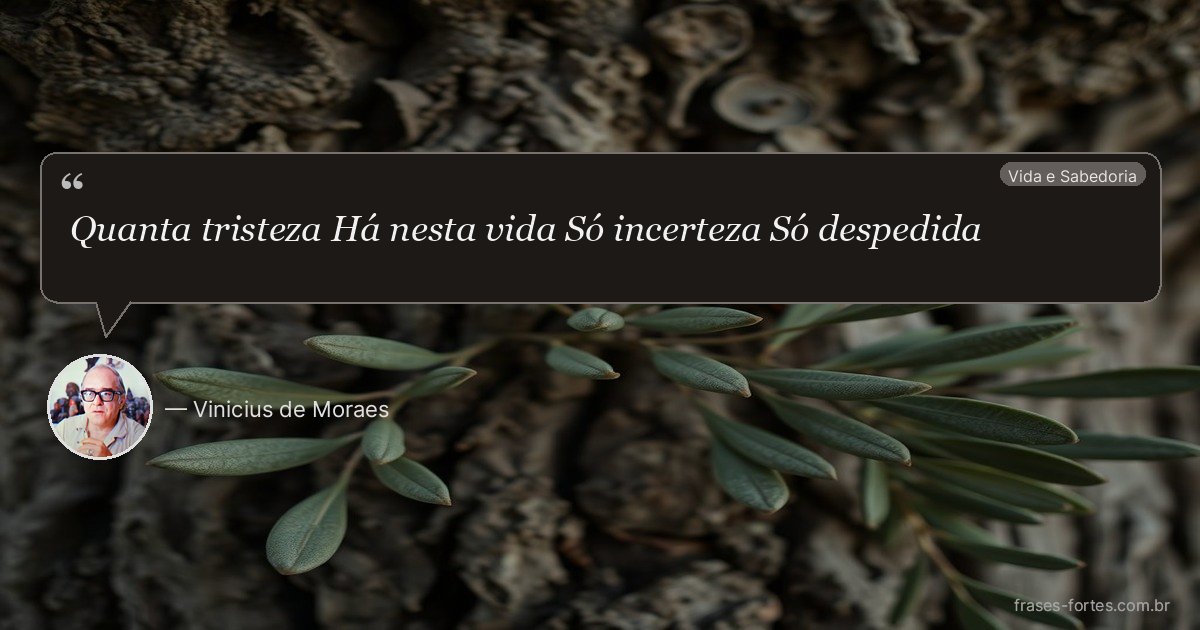 Frase de Vinicius de Moraes