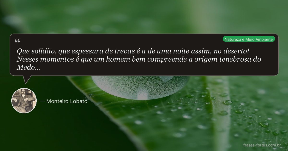 Frase de Monteiro Lobato