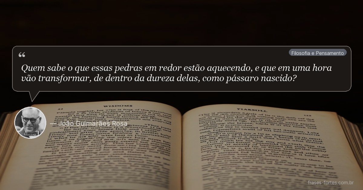 Frase de João Guimarães Rosa