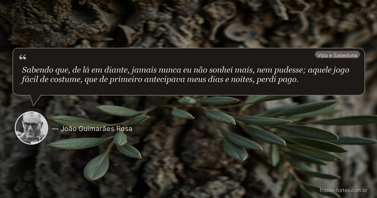 Frase de João Guimarães Rosa
