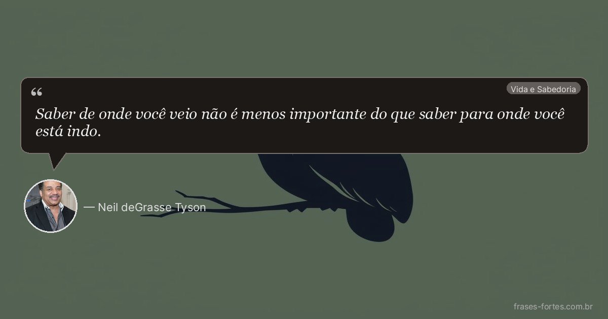 Frase de Neil deGrasse Tyson