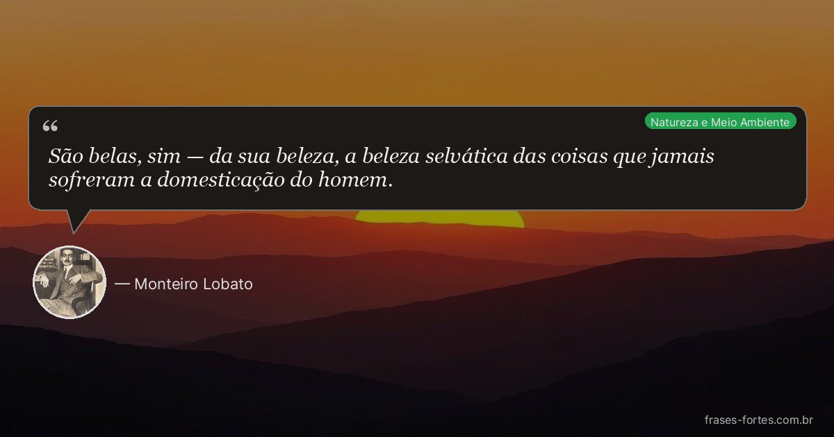 Frase de Monteiro Lobato