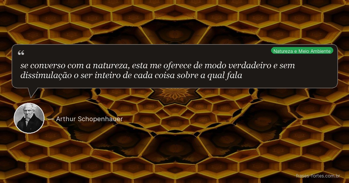 Frase de Arthur Schopenhauer