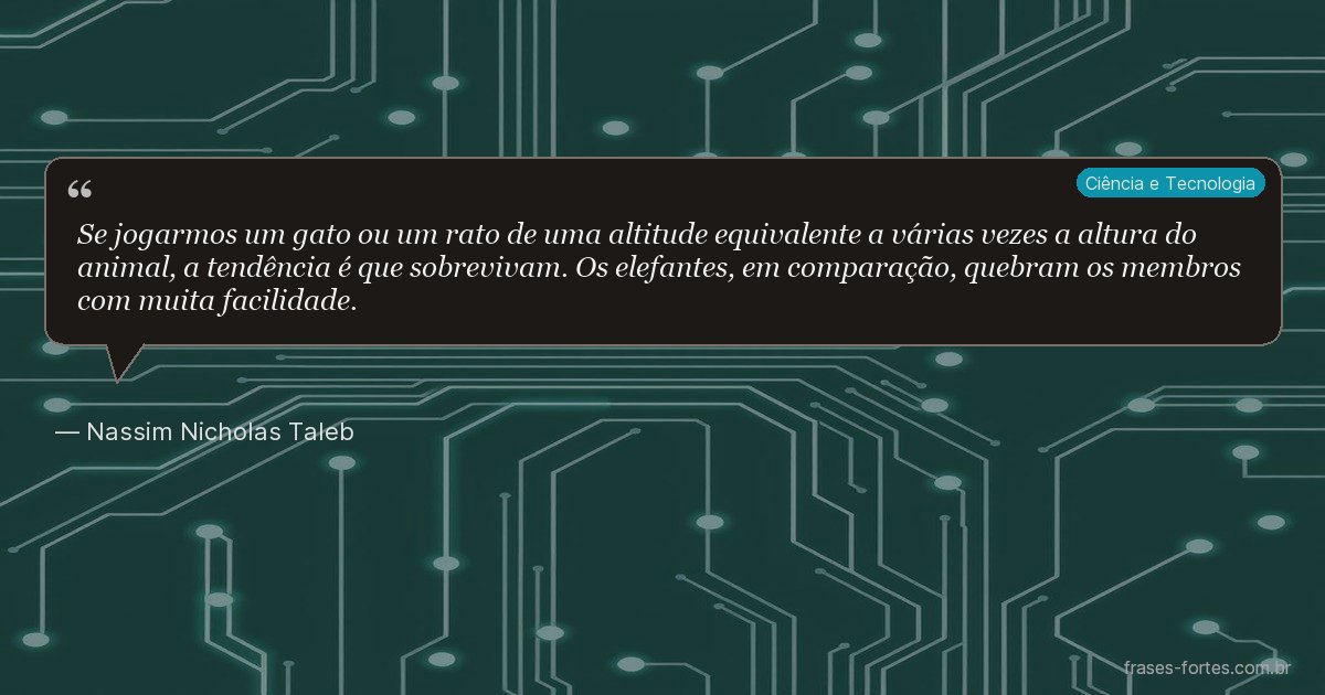 Frase de Nassim Nicholas Taleb