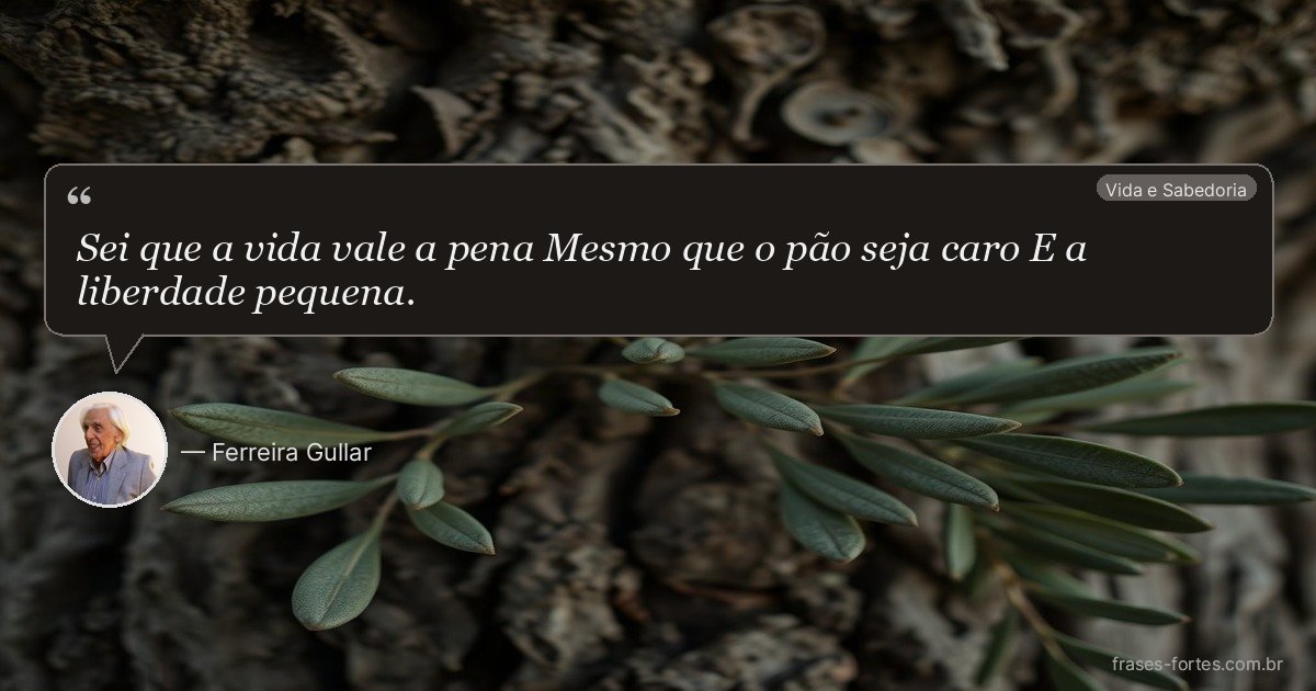 Frase de Ferreira Gullar