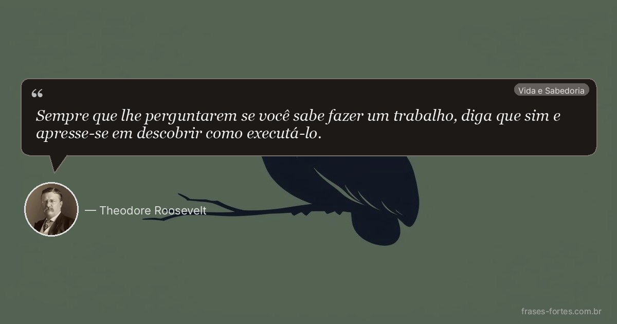 Frase de Theodore Roosevelt