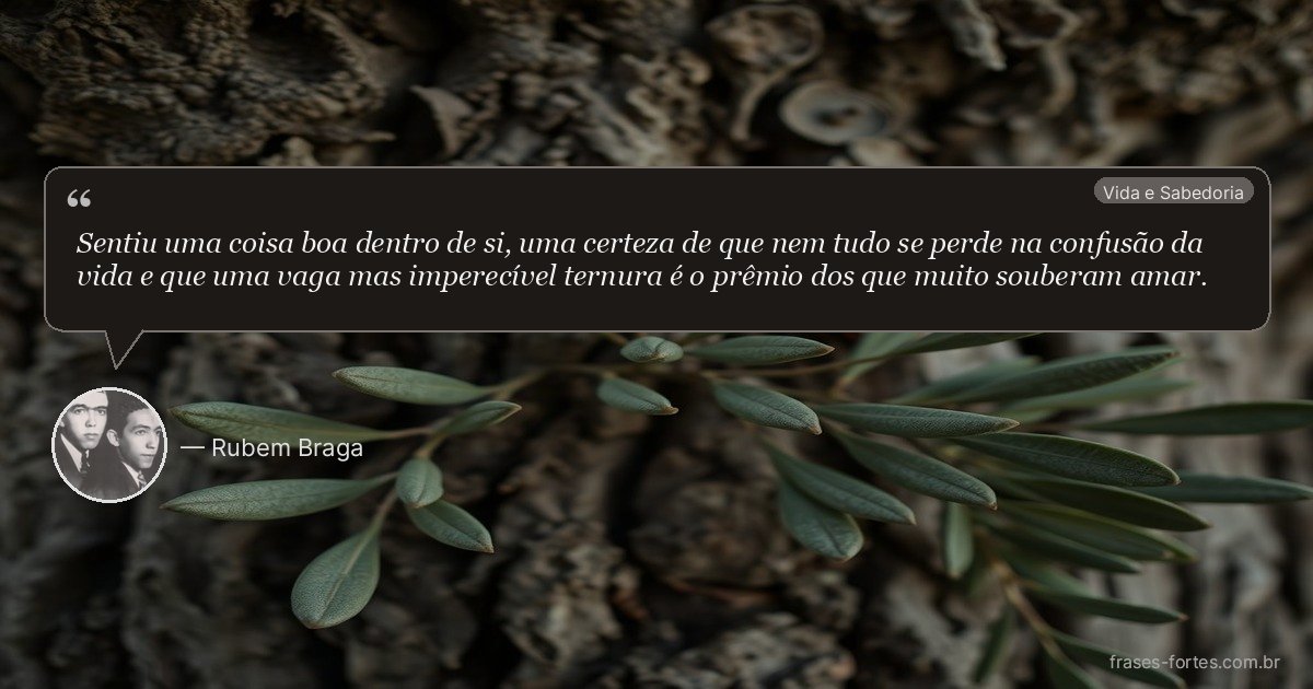 Frase de Rubem Braga