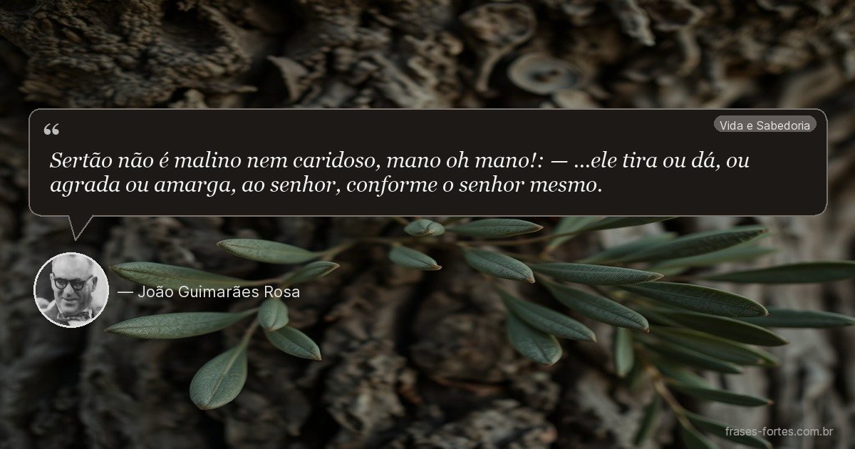 Frase de João Guimarães Rosa
