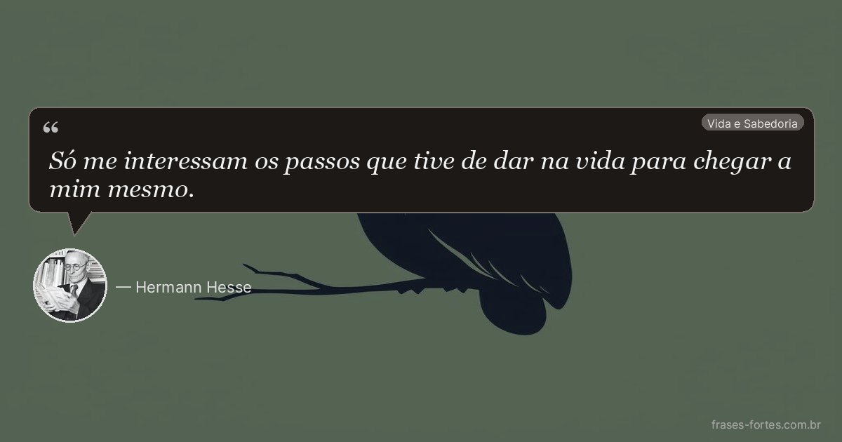 Frase de Hermann Hesse