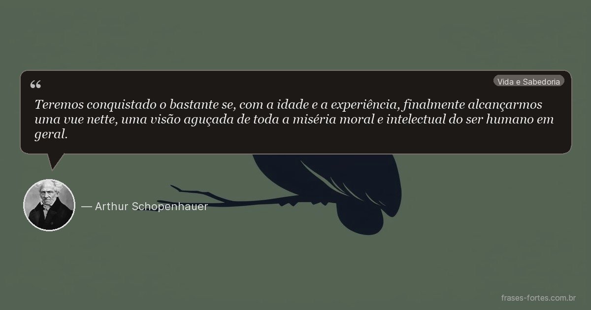 Frase de Arthur Schopenhauer