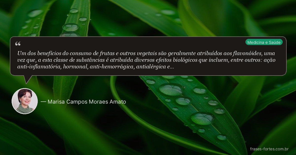 Frase de Marisa Campos Moraes Amato