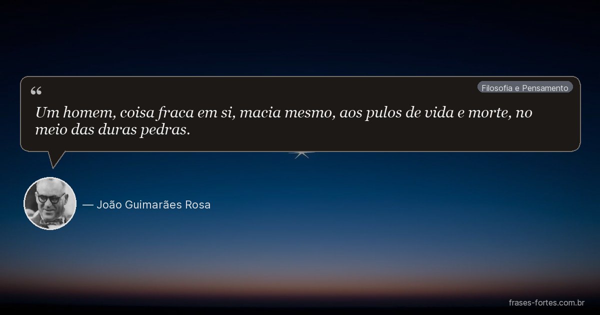 Frase de João Guimarães Rosa