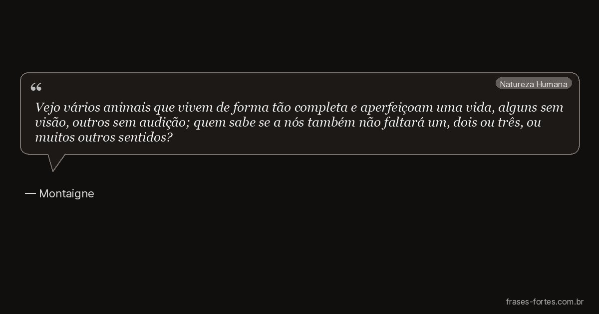 Frase de Montaigne