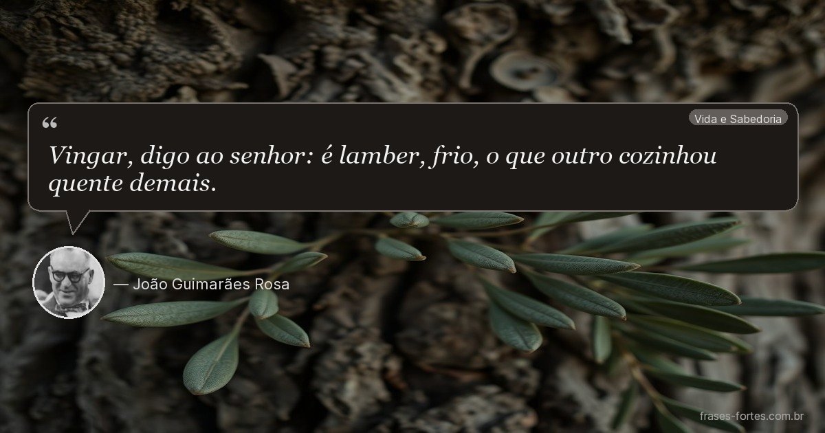 Frase de João Guimarães Rosa