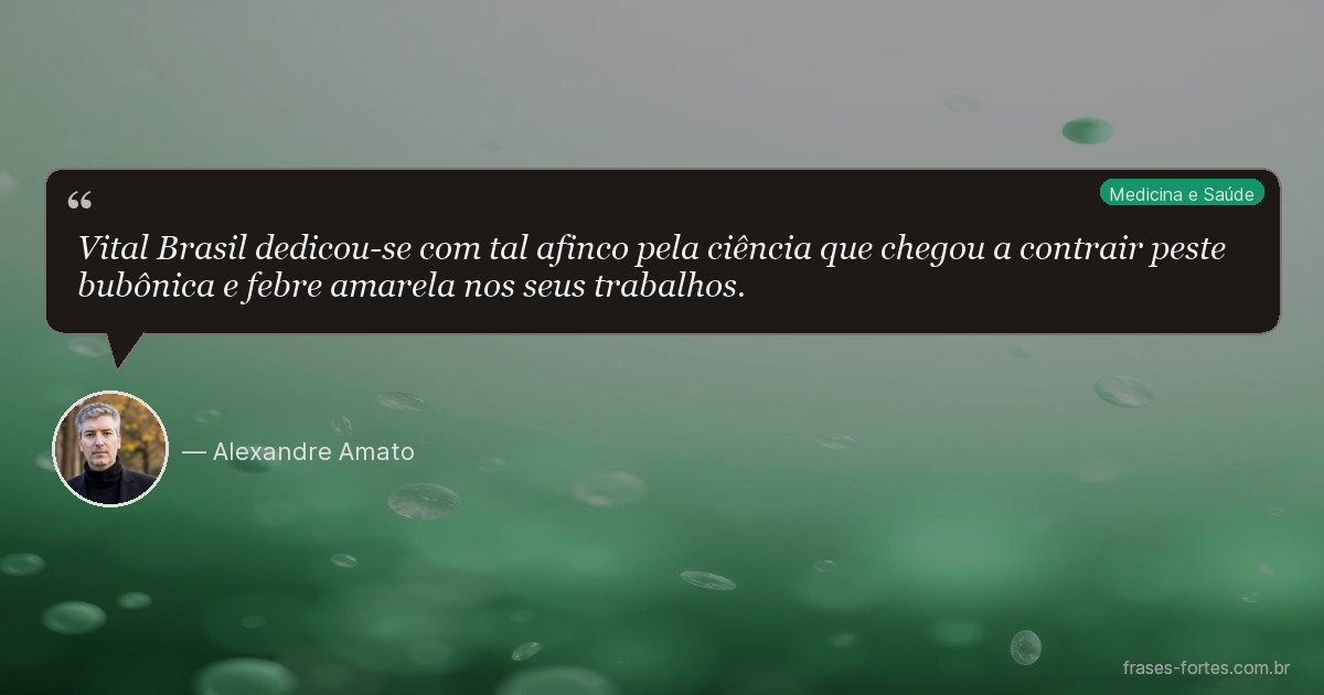 Frase de Alexandre Amato