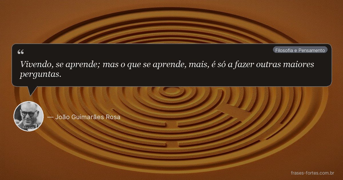 Frase de João Guimarães Rosa