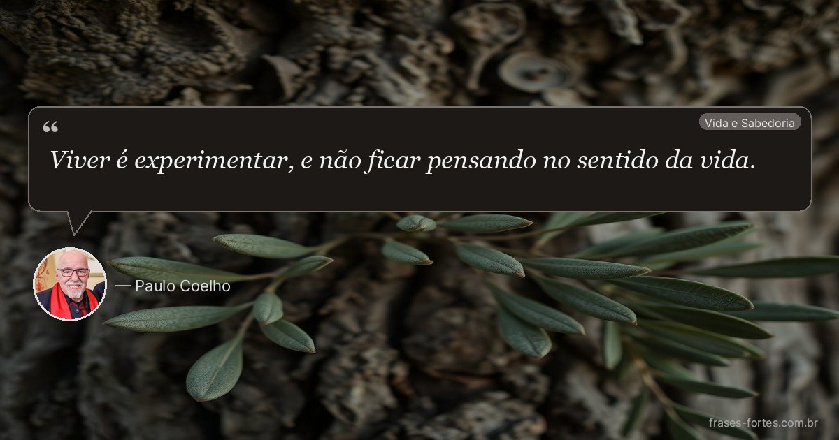 Frase de Paulo Coelho