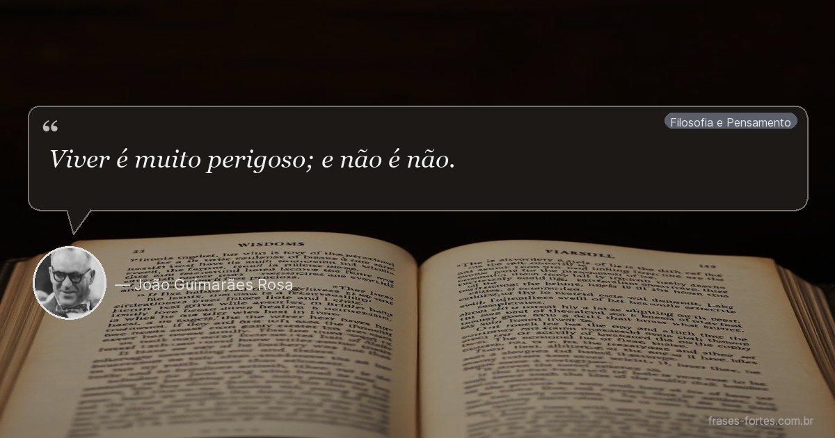 Frase de João Guimarães Rosa