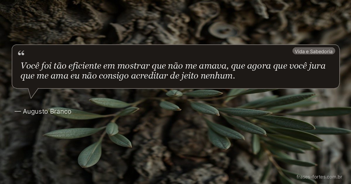 Frase de Augusto Branco